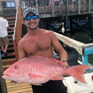 Meet your Posher, Jordan